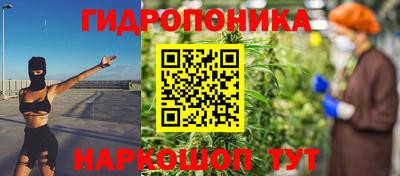 гашик Дмитров