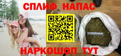 гашик Дмитров