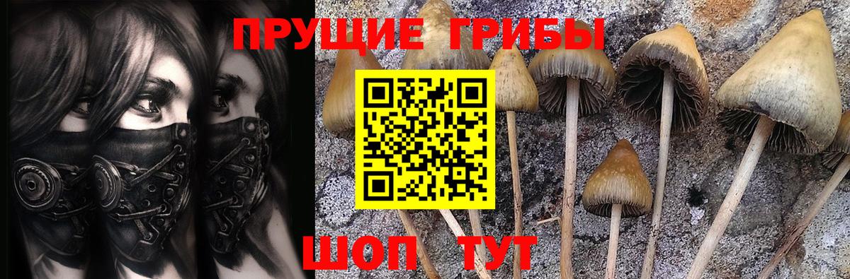 Галлюциногенные грибы Magic Shrooms  Псилоцибиновые грибы прущие грибы  Вход с VPN  Горно-Алтайск 